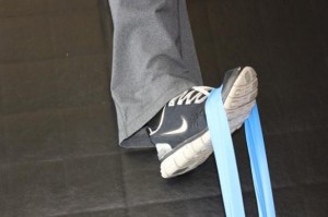 Tibialis Posterior