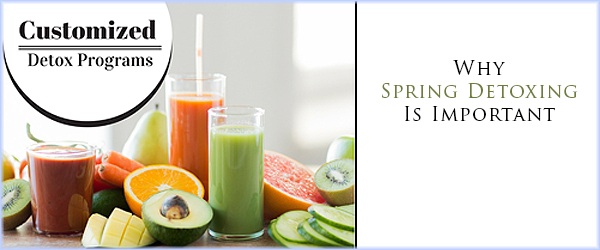 Spring Detox Website Banner Template - Banner (600x250)