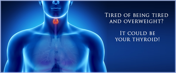 Thyroid Website Banner Template - Banner (600x250)